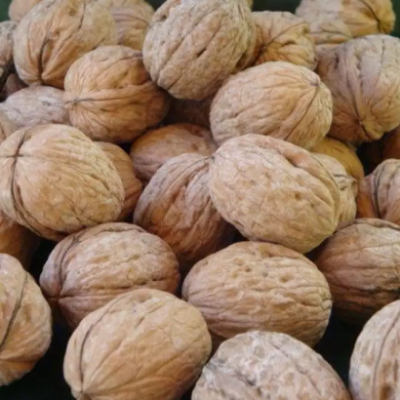 Wallnut 500gm ( Imported)